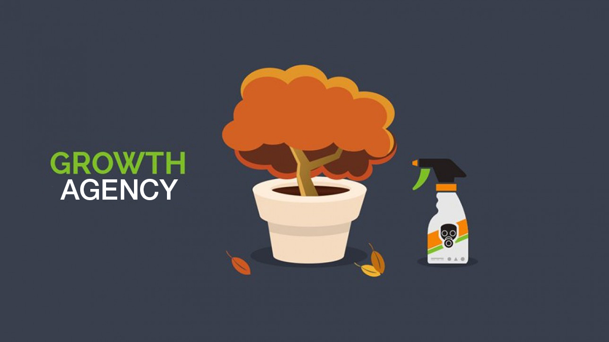 Growth Agency: what is it and how to choose it?